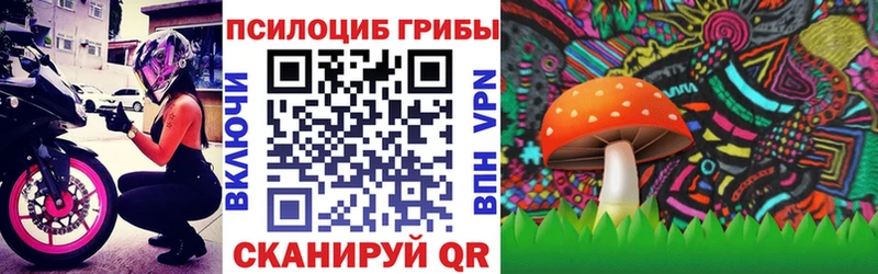 Псилоцибиновые грибы Psilocybe  Пионерский 