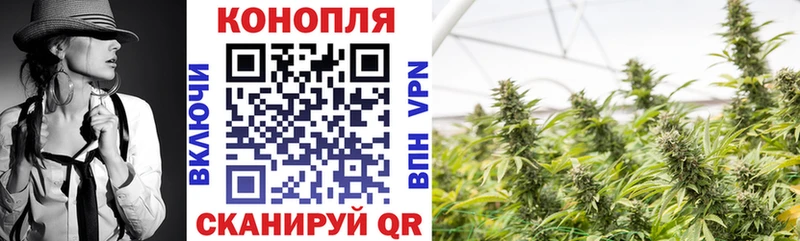 блэк спрут сайт Пионерский Бошки марихуана тримм где можно купить